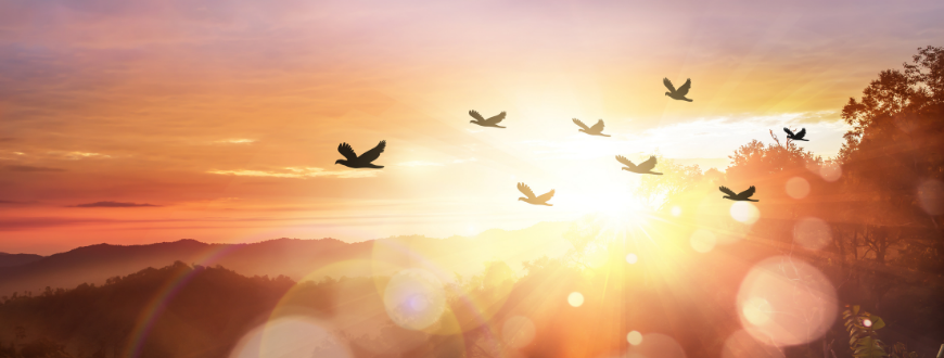 mindful leadership master of arts banner