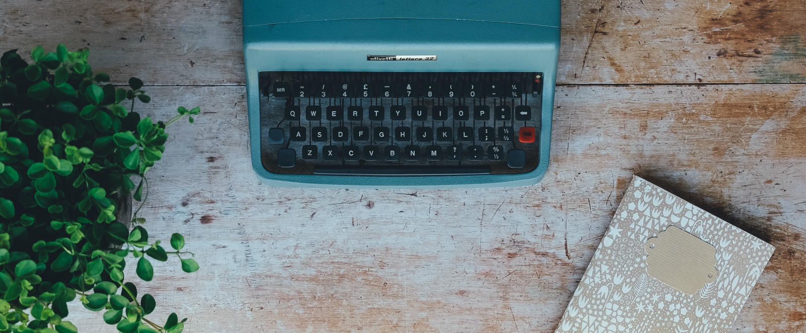 author guidelines